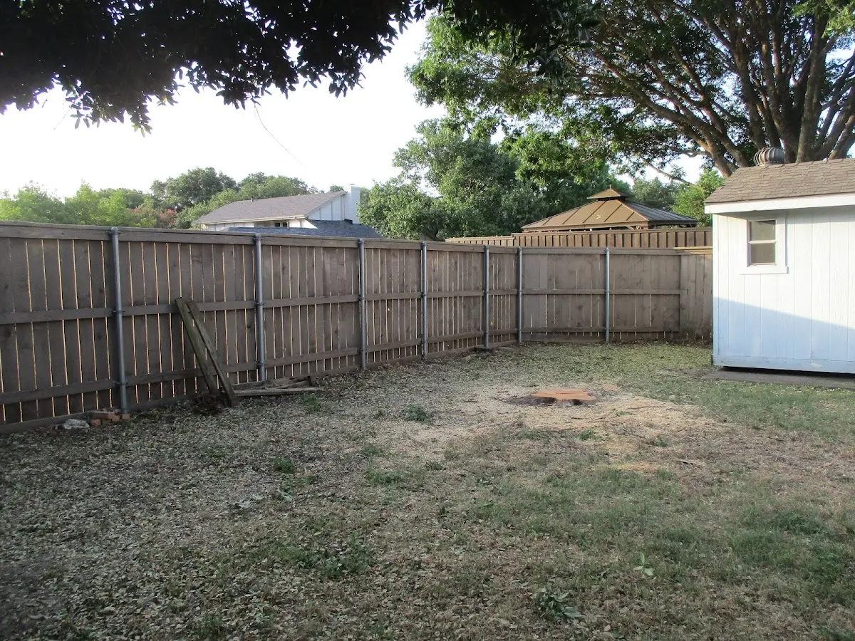 Cleared yard after professional tree removal in Pettisville