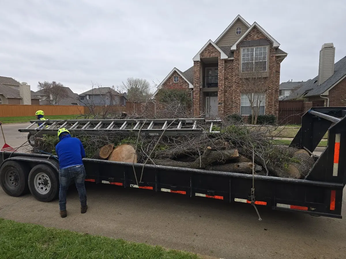 Expert Tree Pest Control with proper safety equipment in Pettisville